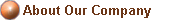 About Our Company